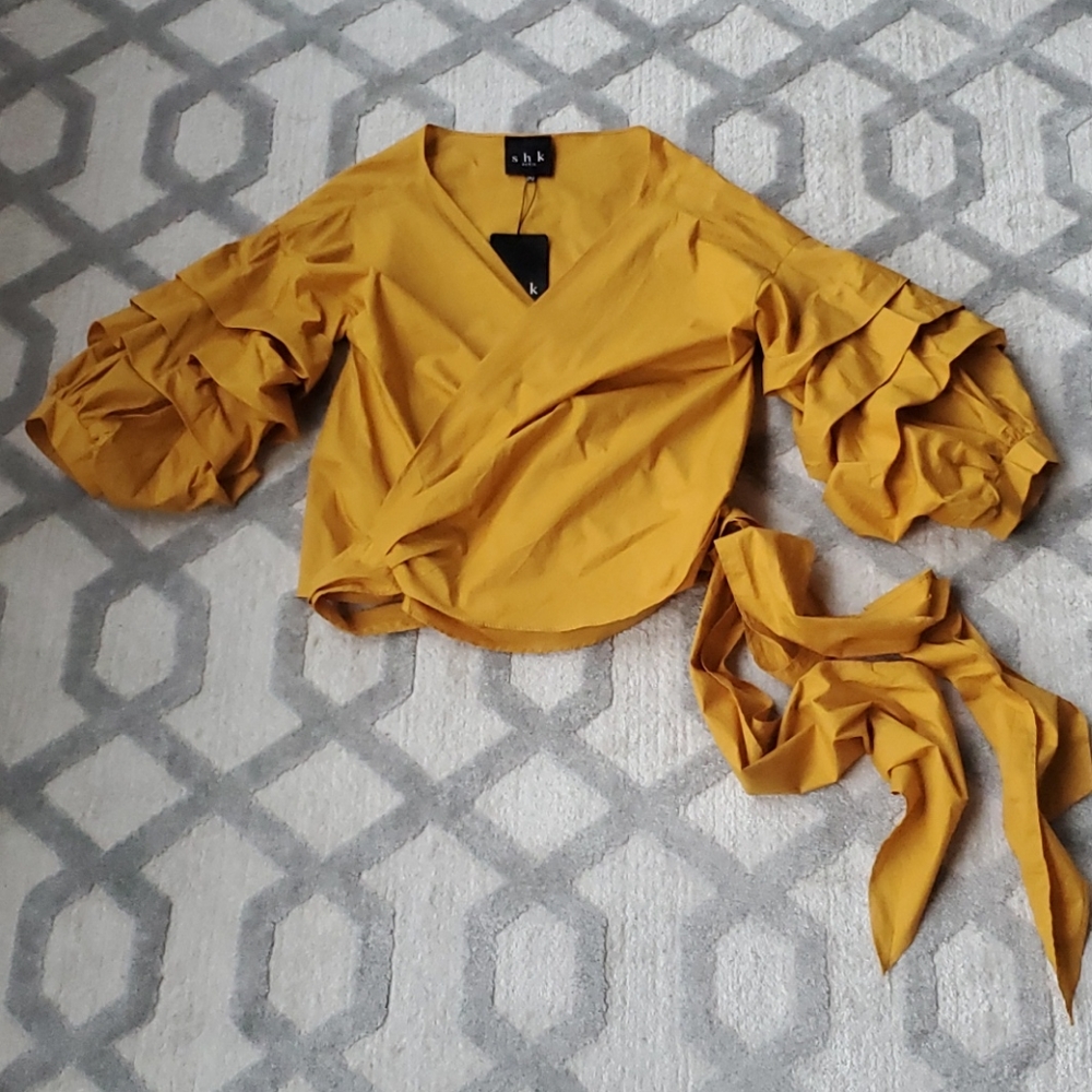 Puffy sleeve blouse